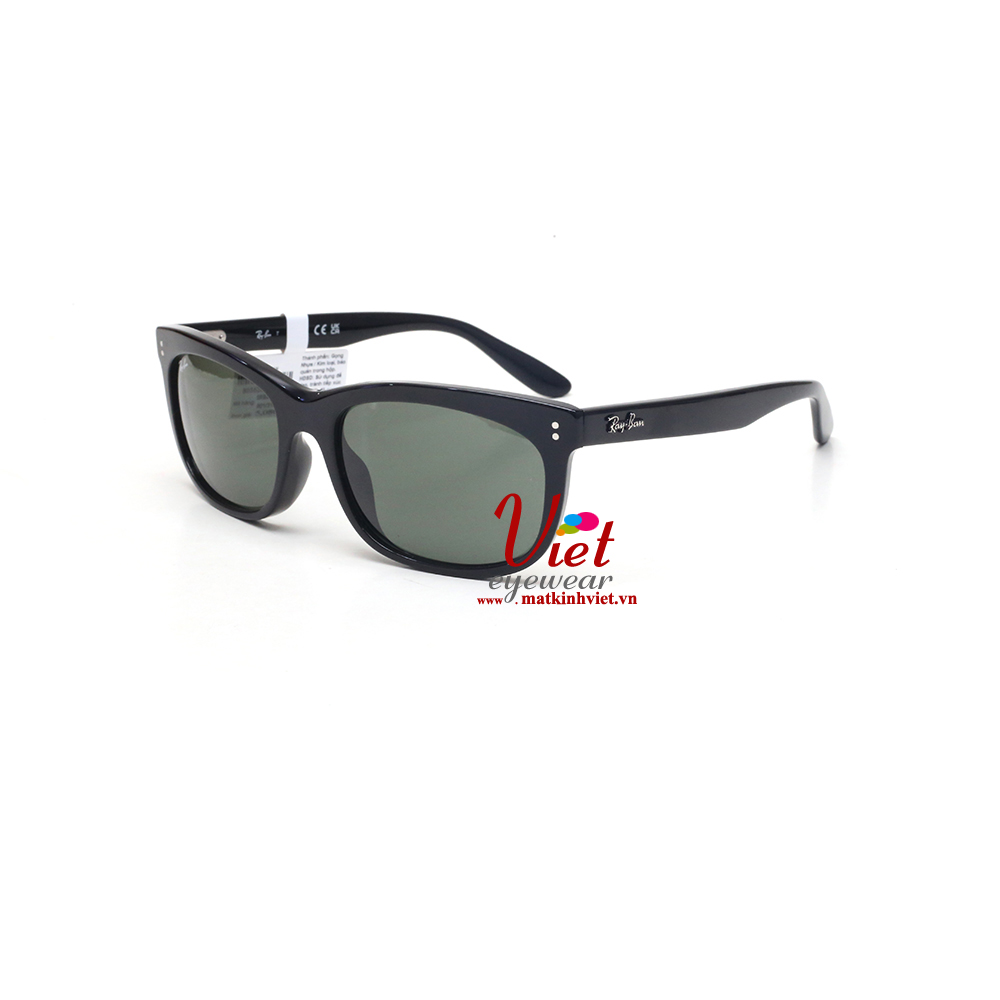 Kính mát RayBan RB2389F 901/31